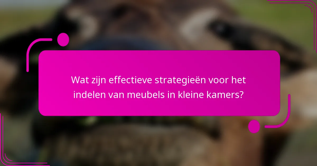 Wat zijn effectieve strategieën voor het indelen van meubels in kleine kamers?